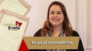 Explica Direito Filiação Socioafetiva  2019 [upl. by Hauger]