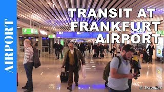 TRANSIT WALK AT FRANKFURT Airport FRA Terminal 1  Connection Flight Transfer Arriving amp Departing [upl. by Lanod]